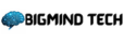 Big Mind Technologies